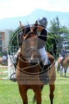 ref. photo 3707212
