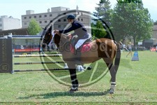 ref. photo 3707228