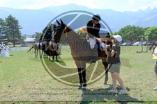 ref. photo 3707229