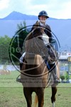 ref. photo 3707257