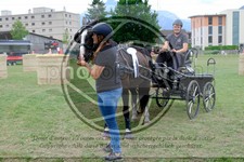 ref. photo 3707286