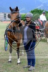 ref. photo 3707292