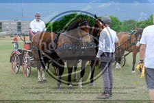 ref. photo 3707294