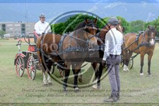ref. photo 3707295