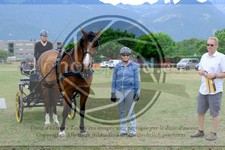 ref. photo 3707296
