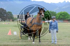 ref. photo 3707297