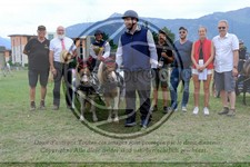 ref. photo 3707299