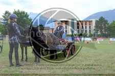 ref. photo 3707302