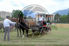 ref. photo 3707305