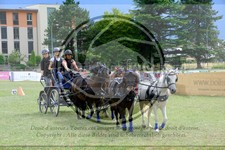 ref. photo 3707307
