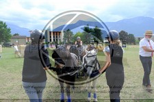 ref. photo 3707312