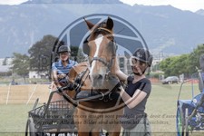 ref. photo 3707336