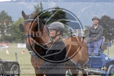 ref. photo 3707340