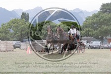 ref. photo 3707357