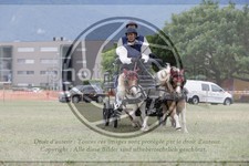 ref. photo 3707359