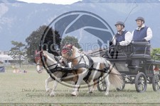 ref. photo 3707360