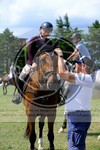 ref. photo 3707391