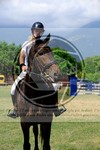 ref. photo 3707397