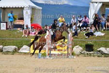 ref. photo 3158539