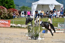 ref. photo 3158581