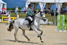 ref. photo 3158597