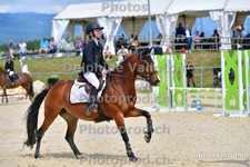ref. photo 3158702