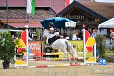ref. photo 3158857