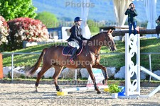 ref. photo 3158902