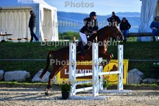 ref. photo 3158903