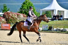 ref. photo 3158916