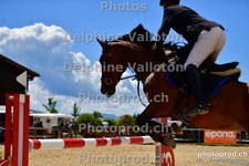ref. photo 3158939