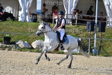 ref. photo 3159038