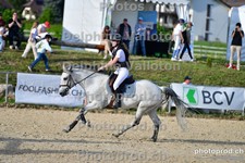 ref. photo 3159040
