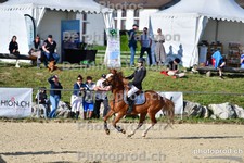 ref. photo 3159052
