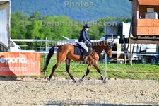 ref. photo 3159105