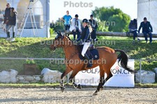 ref. photo 3159114