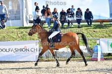 ref. photo 3159115