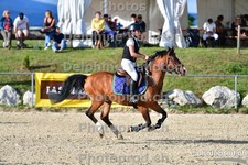 ref. photo 3159151