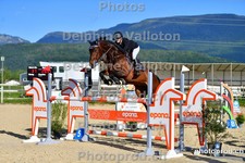 ref. photo 3159316