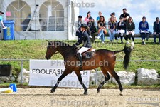 ref. photo 3159355