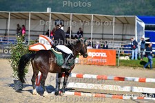 ref. photo 3159404