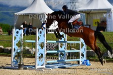 ref. photo 3159460