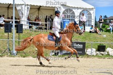 ref. photo 3159479