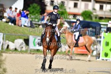 ref. photo 3159500