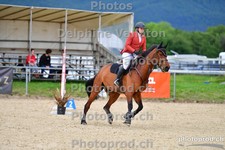 ref. photo 3159506