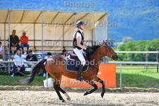 ref. photo 3159564