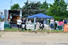 ref. photo 3159585