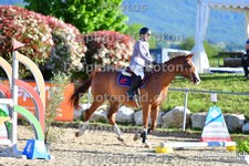 ref. photo 3159838
