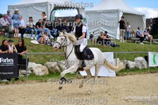 ref. photo 3159894