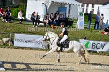 ref. photo 3159911